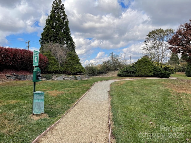 view of property's community with a lawn