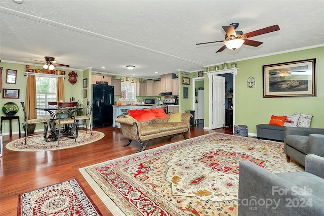 living room featuring sink, ceiling fan, a textured ceiling, wood-type flooring, and crown molding