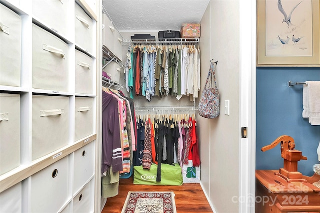 spacious closet with dark hardwood / wood-style floors