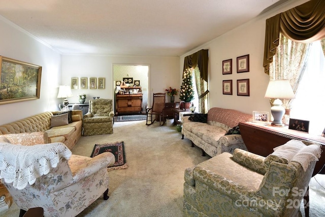 living room featuring carpet floors and crown molding