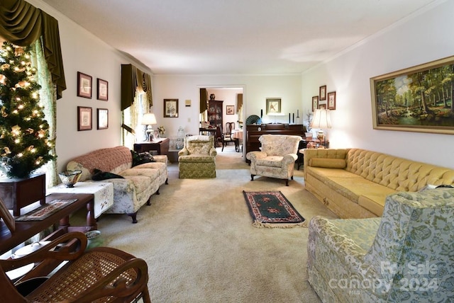 living room with ornamental molding and carpet floors