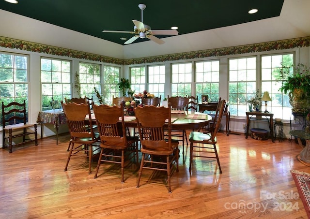 dining area featuring ceiling fan, plenty of natural light, and light hardwood / wood-style flooring