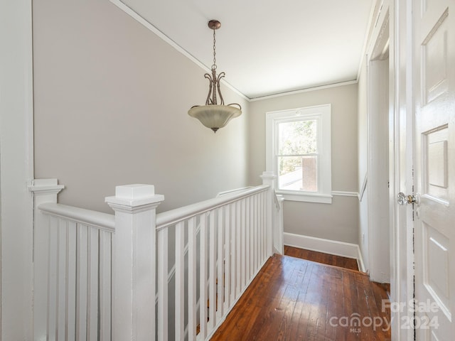 hallway featuring dark wood-type flooring and ornamental molding