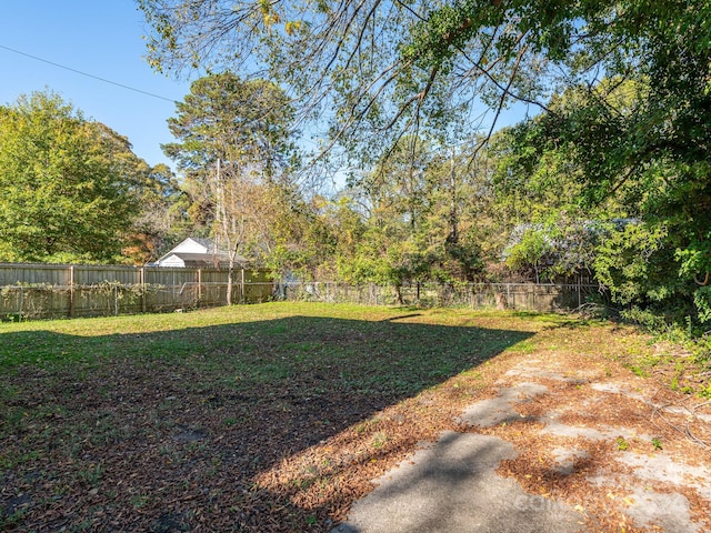 1411 Lineberger Ave, Gastonia, NC 28052 - view of yard