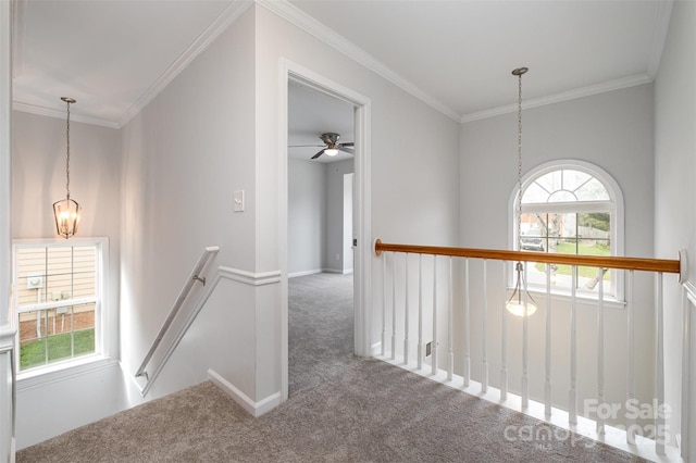 hallway featuring ornamental molding, carpet, a wealth of natural light, and a chandelier