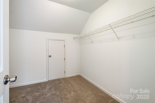 spacious closet with vaulted ceiling and carpet