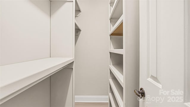 walk in closet with light wood-type flooring