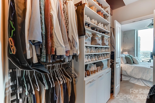 walk in closet with carpet