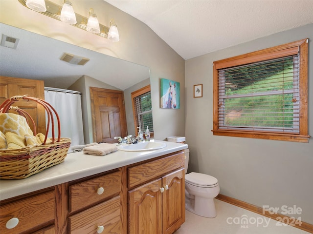 bathroom featuring vanity, a textured ceiling, toilet, and vaulted ceiling