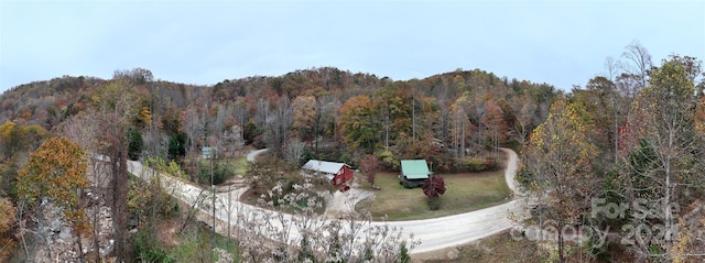 bird's eye view featuring a mountain view