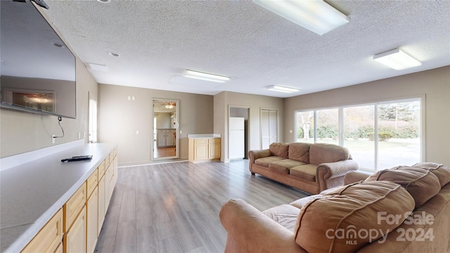 living room featuring a textured ceiling and light hardwood / wood-style flooring