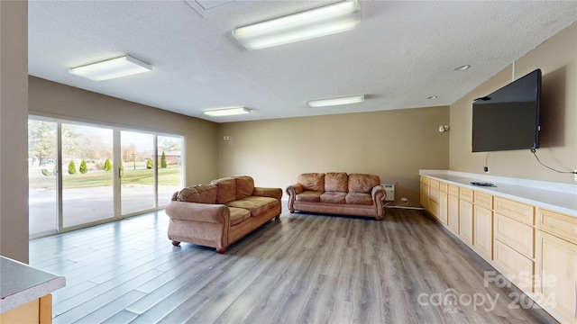 living room with a textured ceiling and light hardwood / wood-style flooring