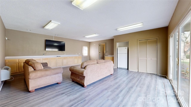 living room featuring a textured ceiling and light hardwood / wood-style flooring