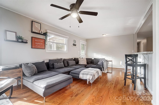 living room featuring light wood-type flooring, ceiling fan, and crown molding