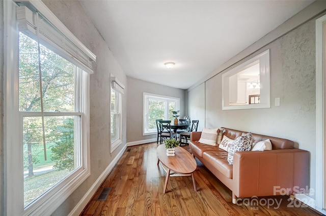 living room featuring a healthy amount of sunlight and light wood-type flooring