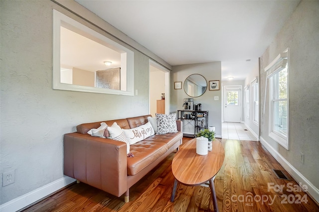 living room featuring hardwood / wood-style floors