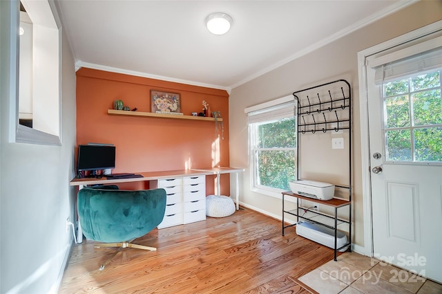 office with light hardwood / wood-style floors, a healthy amount of sunlight, and crown molding