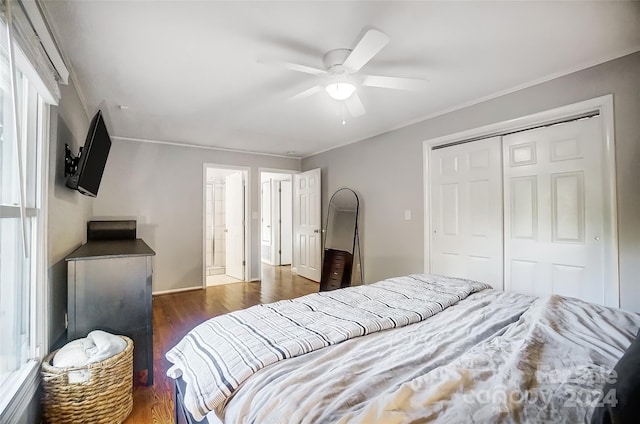 bedroom with ceiling fan, a closet, and dark hardwood / wood-style flooring