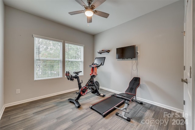 exercise room with wood-type flooring and ceiling fan