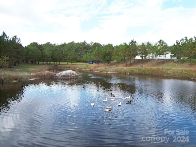 2034 Haileys Ferry Rd, Lilesville, NC 28091 - water view