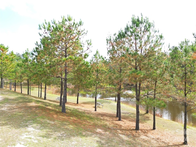 view of yard featuring a water view