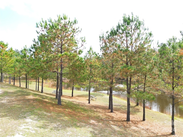 2034 Haileys Ferry Rd, Lilesville, NC 28091 - view of yard featuring a water view