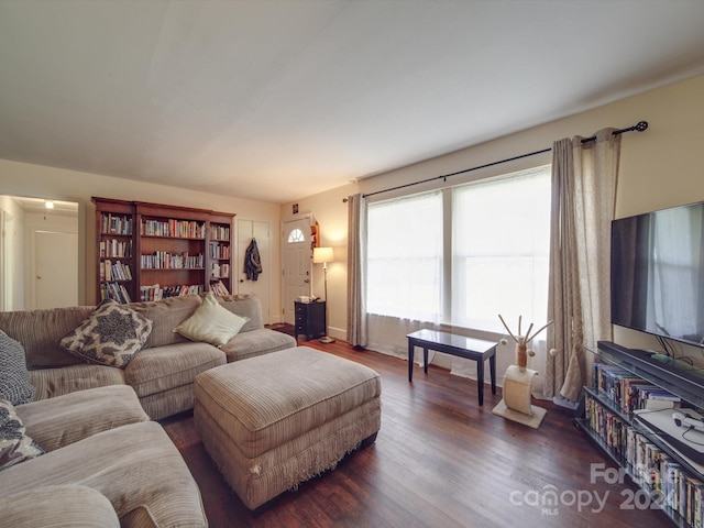 living room with dark wood-type flooring