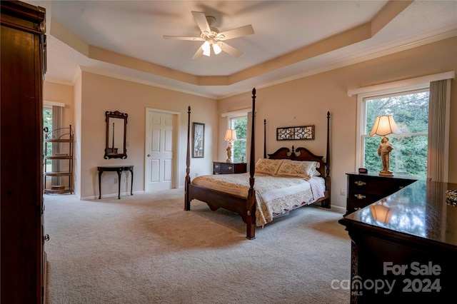 carpeted bedroom with ceiling fan, multiple windows, a raised ceiling, and ornamental molding