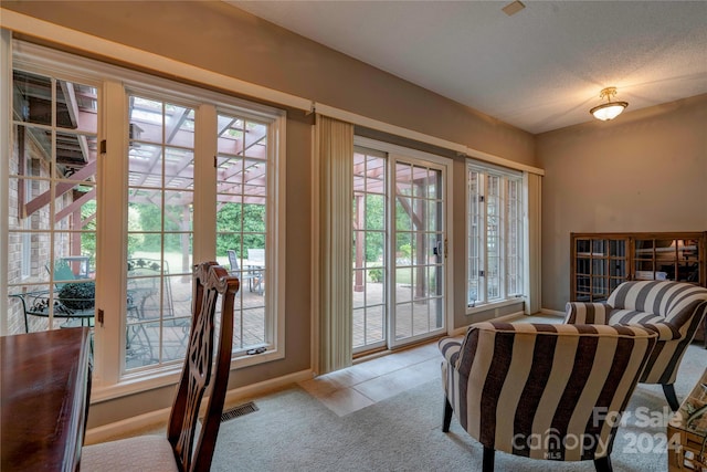 doorway featuring a textured ceiling, a wealth of natural light, and light carpet