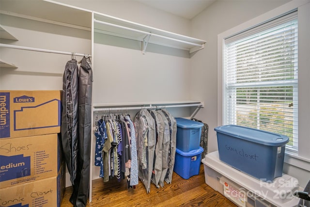 walk in closet featuring dark hardwood / wood-style floors