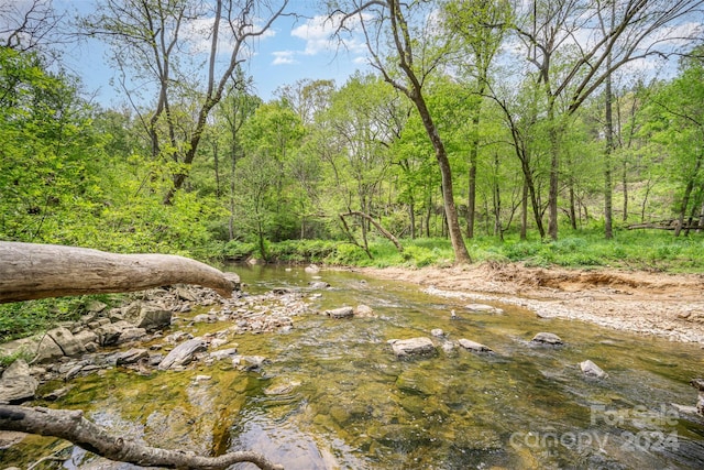 view of local wilderness