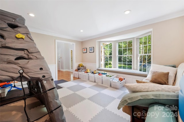 playroom featuring light hardwood / wood-style floors and crown molding