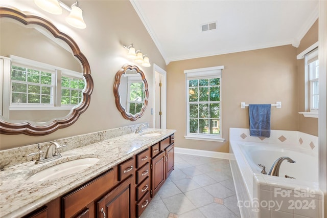 bathroom with ornamental molding, a wealth of natural light, and vanity