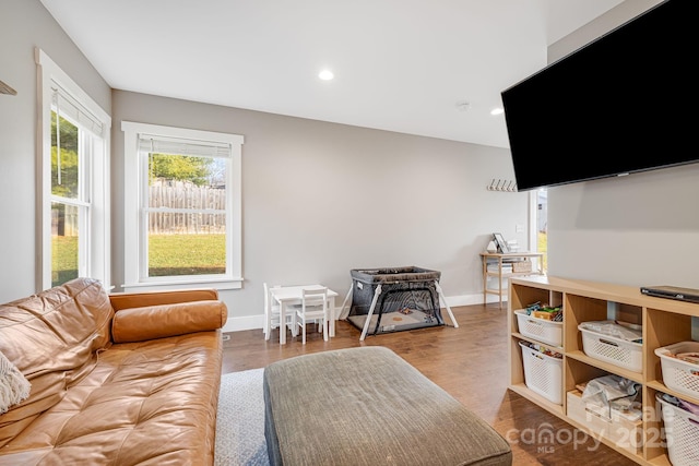 living room featuring hardwood / wood-style floors