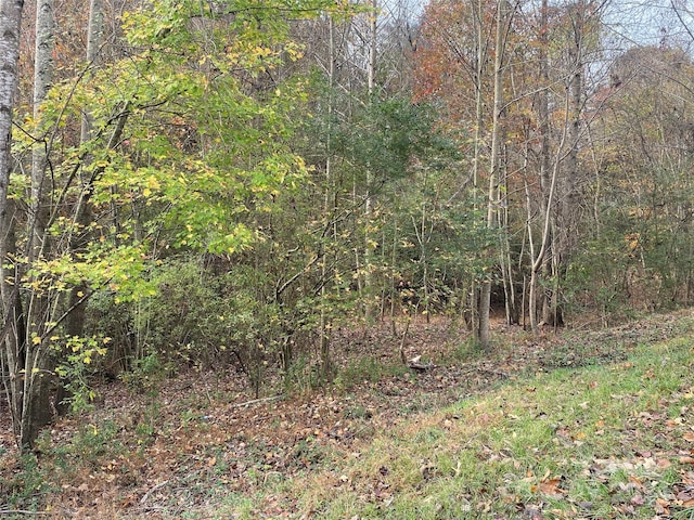 Vacant Biles Road 4, Albemarle, NC 28001