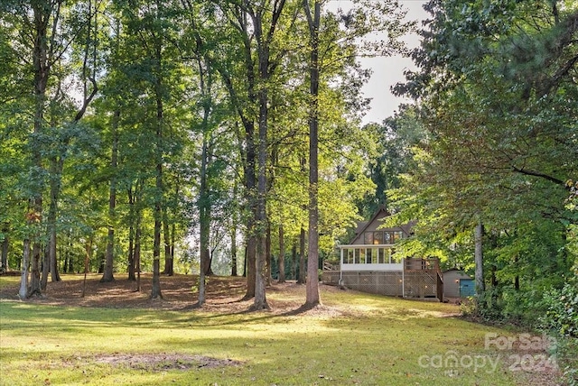 view of yard featuring a deck