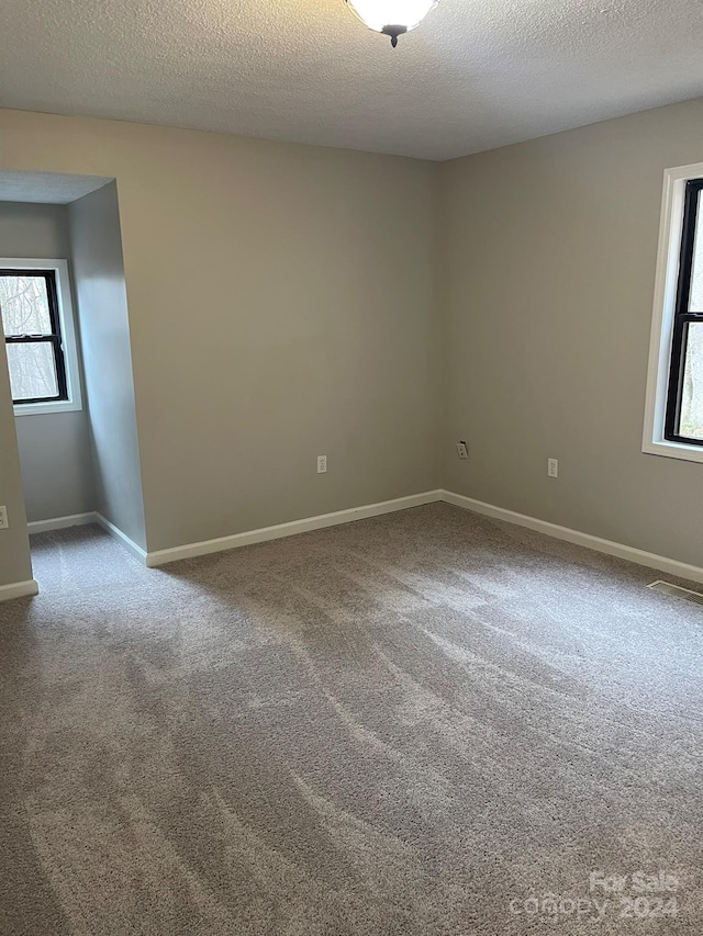 carpeted empty room with a textured ceiling and plenty of natural light