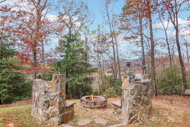 view of yard featuring an outdoor fire pit