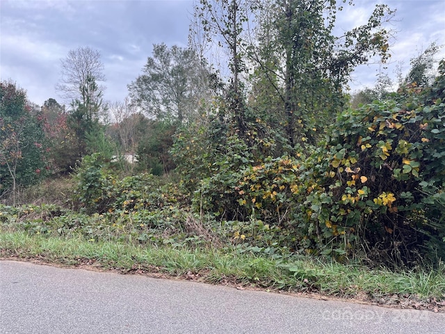 0 N Charleston St, Blacksburg, SC 29702 - photo 1