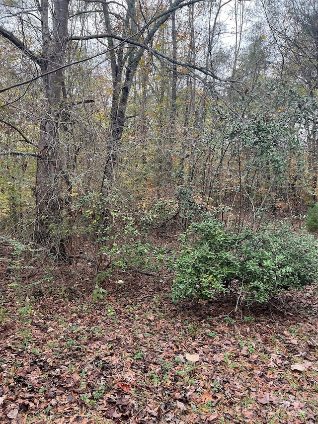 0 N Charleston St, Blacksburg, SC 29702 - photo 2