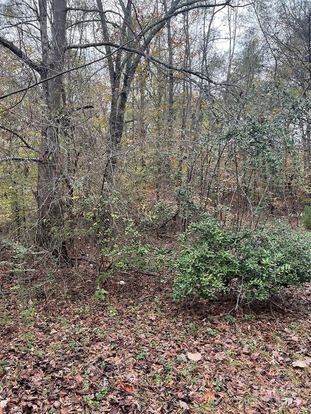 0 N Charleston St, Blacksburg, SC 29702 - photo 4