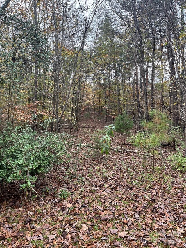 0 N Charleston St, Blacksburg, SC 29702 - photo 6