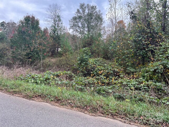 0 N Charleston St, Blacksburg, SC 29702 - photo 7
