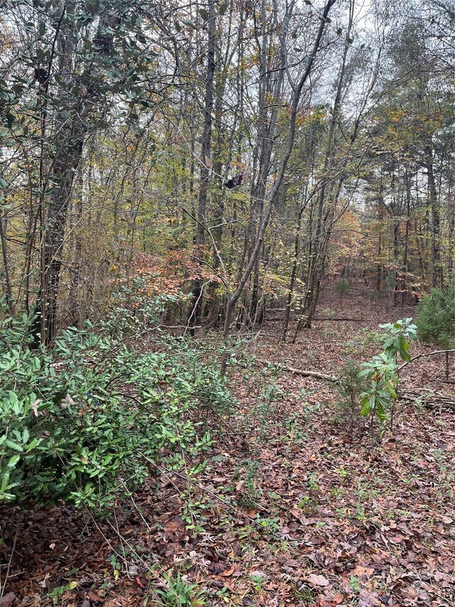 0 N Charleston St, Blacksburg, SC 29702 - photo 8
