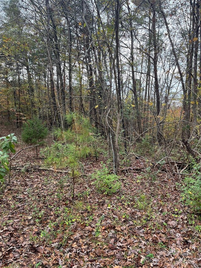 0 N Charleston St, Blacksburg, SC 29702 - photo 9