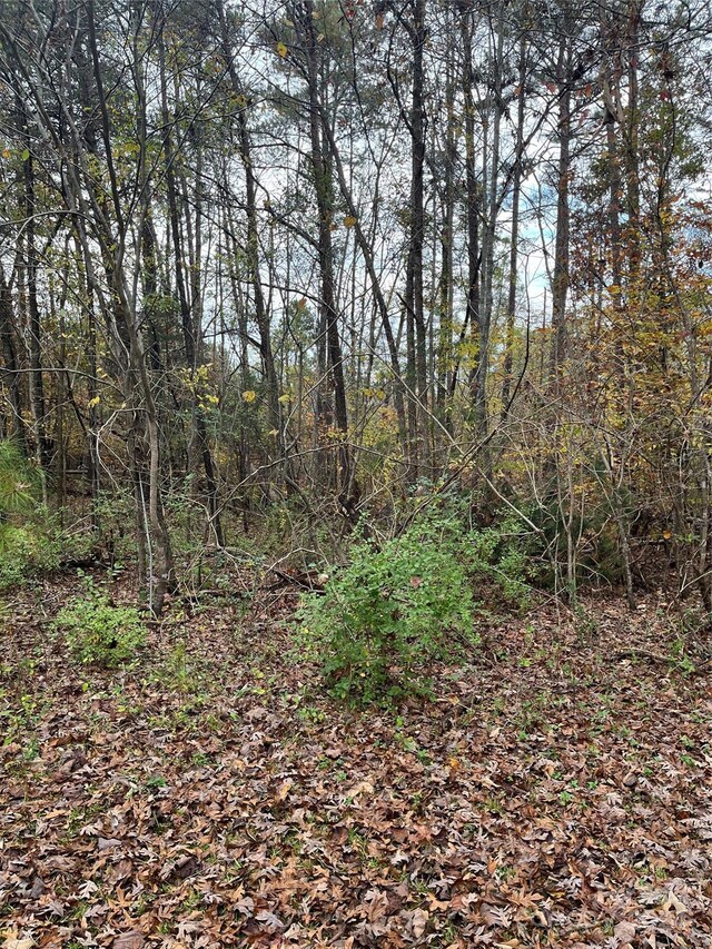 0 N Charleston St, Blacksburg, SC 29702 - photo 11