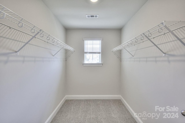 spacious closet with carpet