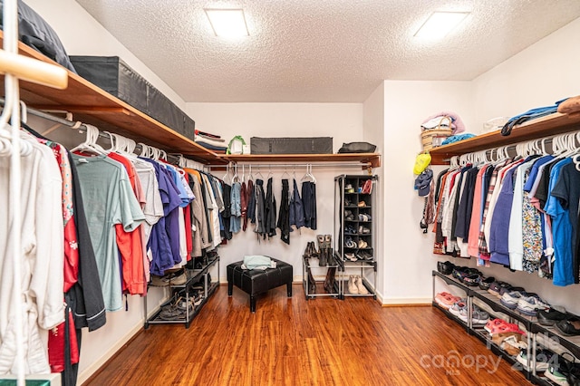 walk in closet featuring hardwood / wood-style flooring