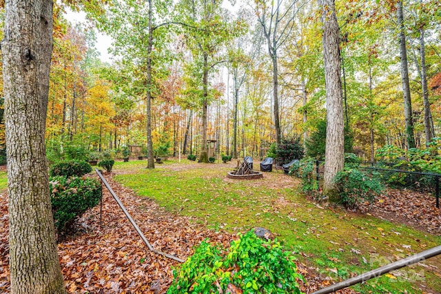 view of yard with an outdoor fire pit