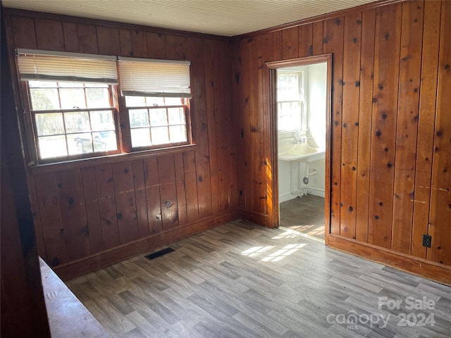 empty room with light hardwood / wood-style floors, wood walls, sink, and plenty of natural light